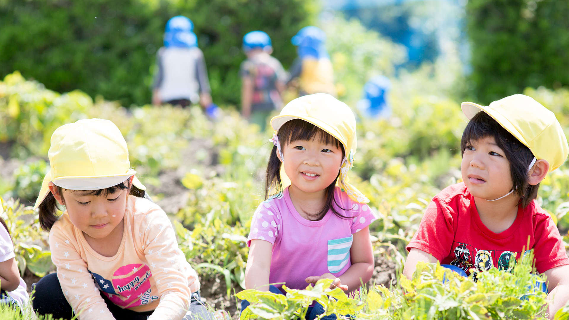 農園で作業する子供たち