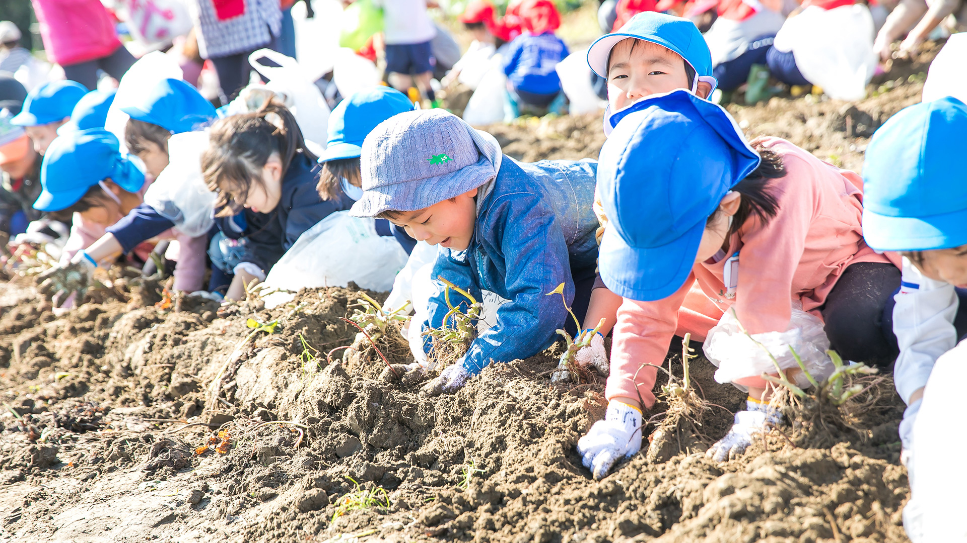 農園で作業する子供たち