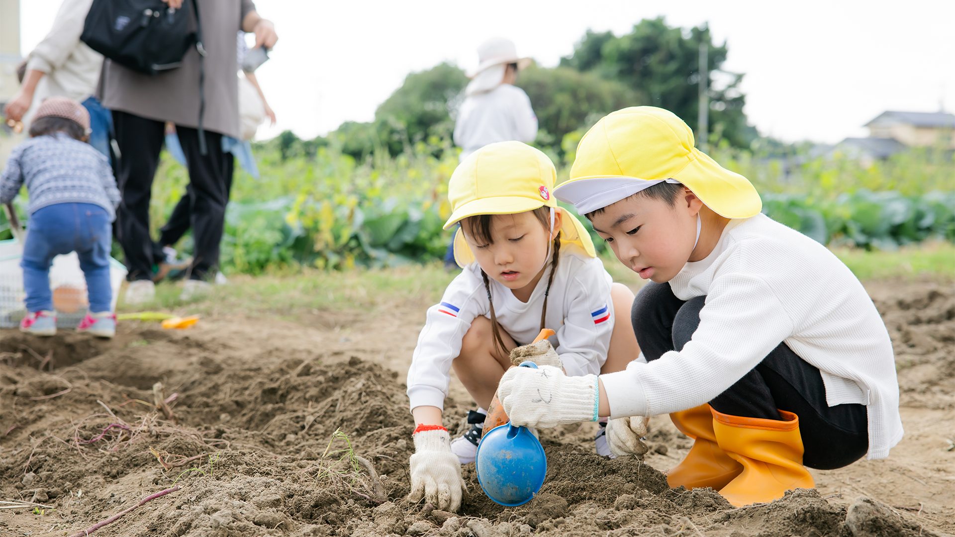 農園で作業する子供たち